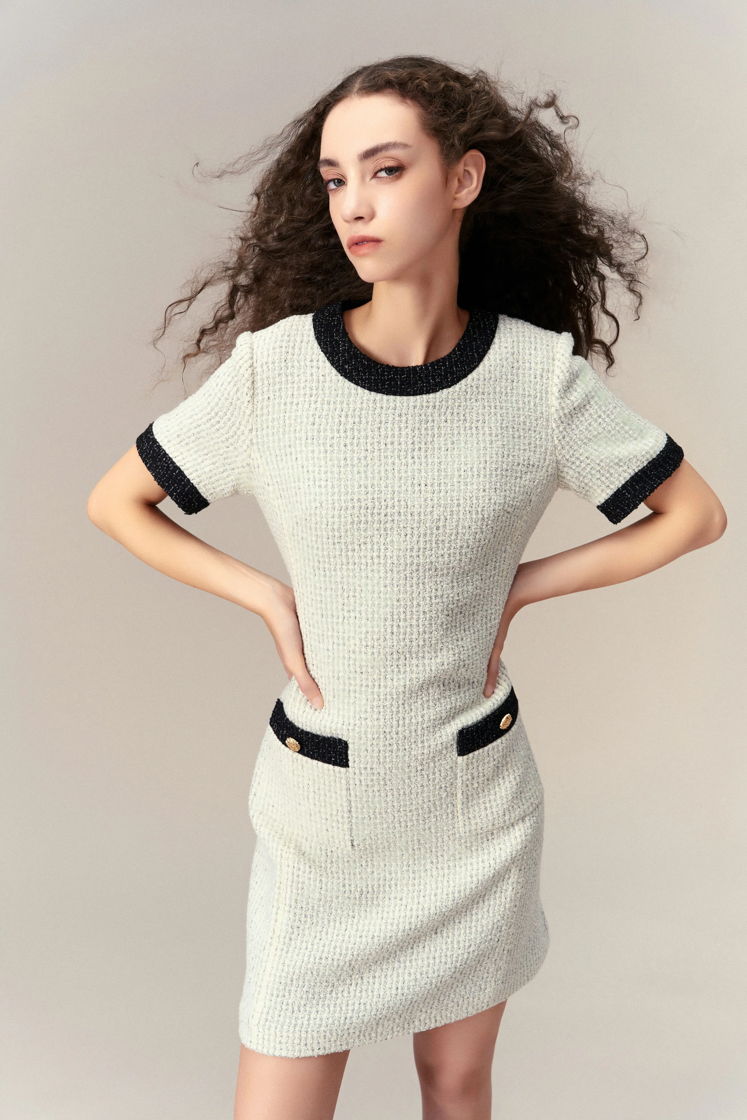 Timeless Lady Tweed Dress